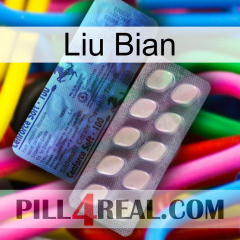 Liu Bian 34